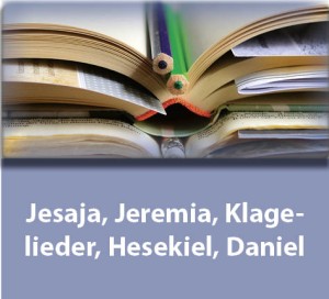Kommentare zu den Büchern Jesaja, Jeremia, Klagelieder,  Hesekiel, Daniel